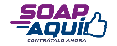 Seguro Obligatorio de Accidentes Personales para Autos